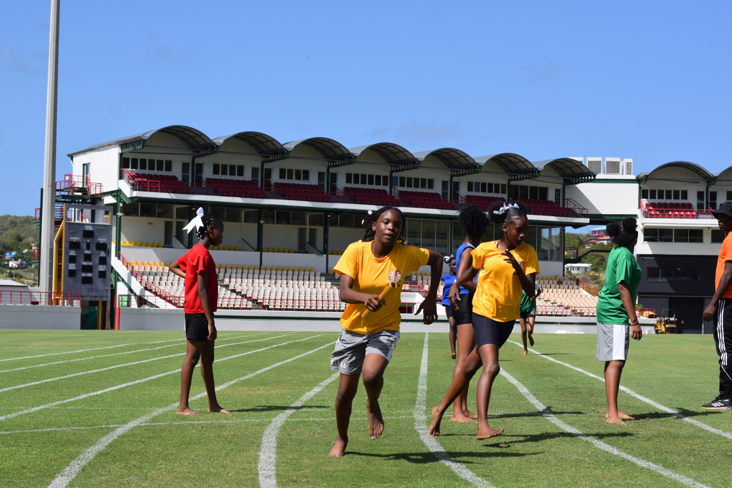 Frangipani bloom at Sir Ira track meet