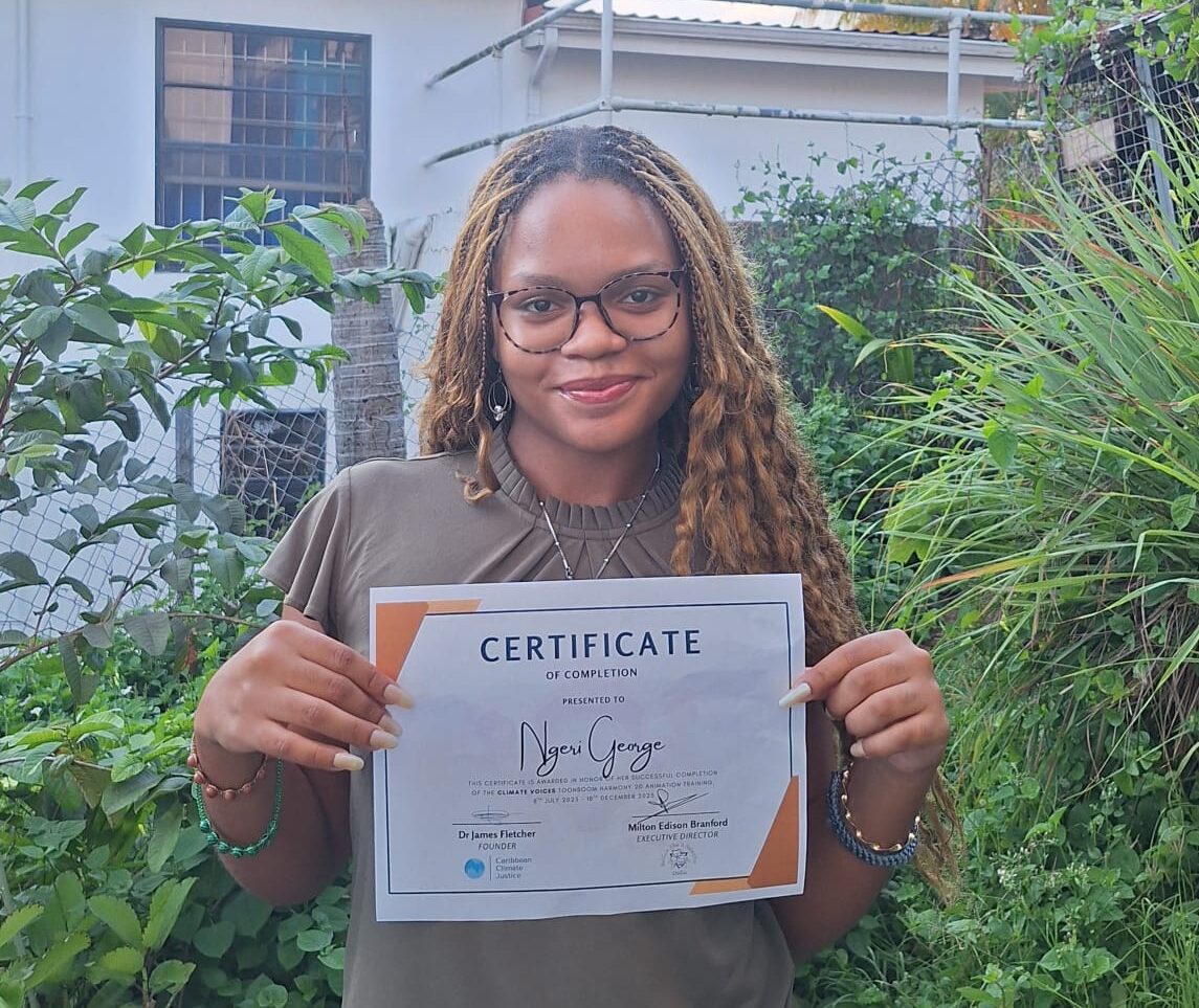 Climate Voices’ animation project equips young artists for advocacy