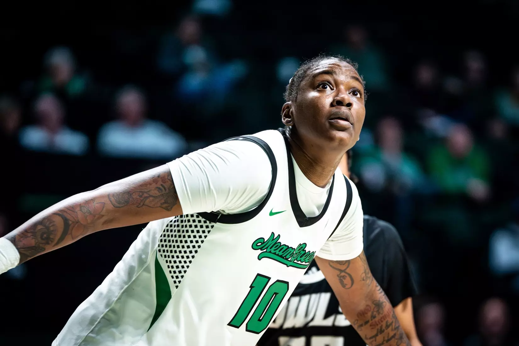 Nestor dominates after postseason accolades