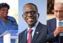 ‘If I were PM for one term’: Youth share ideas for change