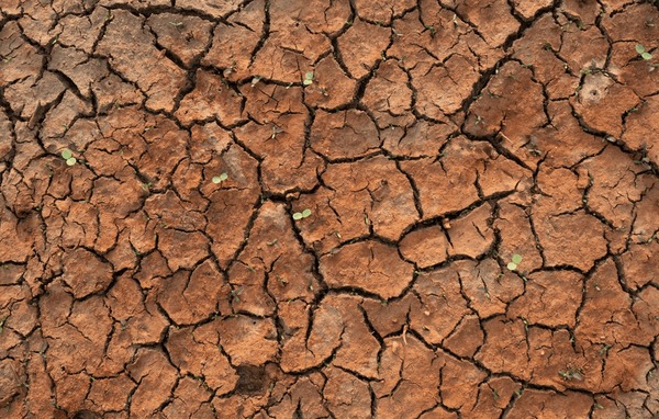 Climate experts say hotter, drier days ahead