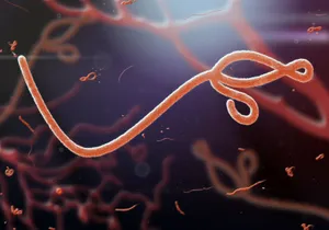 Saint Lucia steps up Ebola preparedness measures