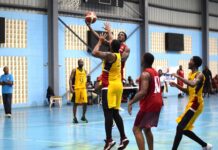 Kings, Blazers for KFC basketball finals rematch