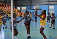 D1 pilots successful primary school netball programme