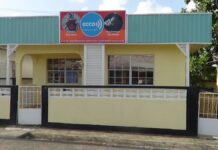 IRD, ECCO join forces on tax collection and music rights