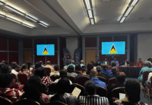 Saint Lucia tops region in CPEA, records improvement across all subjects