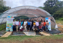 Farmers trained in advanced guava grafting under Taiwan-backed project