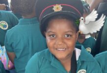Boy, 5, dies after vehicle veers off road in Vieux Fort