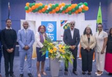 New mental health chatline to support youth