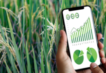 From pathways to investment: Tackling the US$6 billion food challenge for the Caribbean