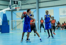 Lions stumble, Warriors keep winning in youth hoops