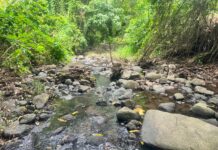 OPINION: Understanding the crisis behind Babonneau’s water supply