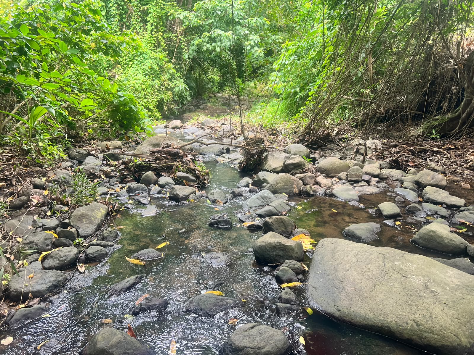 OPINION: Understanding the crisis behind Babonneau’s water supply