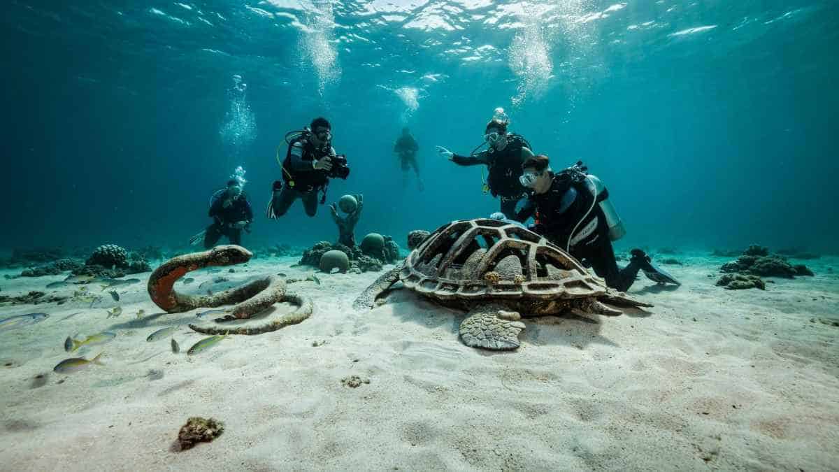 Public invited to view sculptures for underwater park