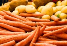 Bio-fertiliser producer seeks to reassure public on safety of locally grown food