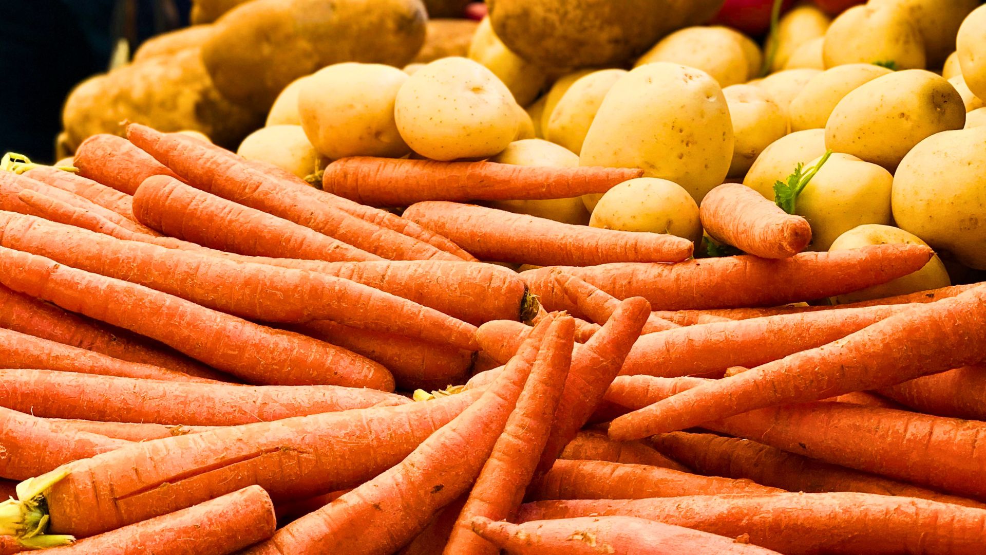 Bio-fertiliser producer seeks to reassure public on safety of locally grown food