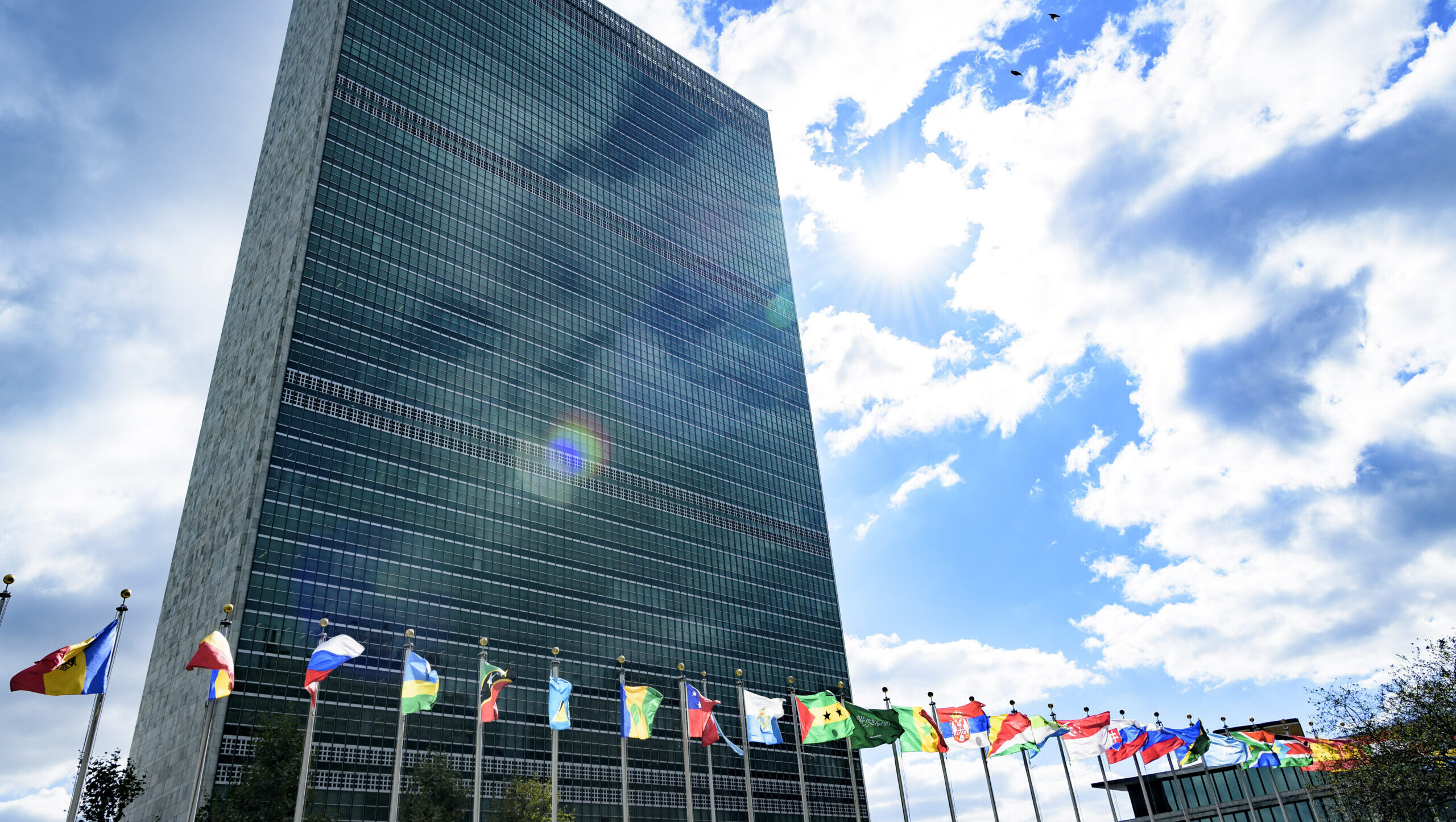 Saint Lucian advocate recognised in UN campaign for disability-inclusive employment