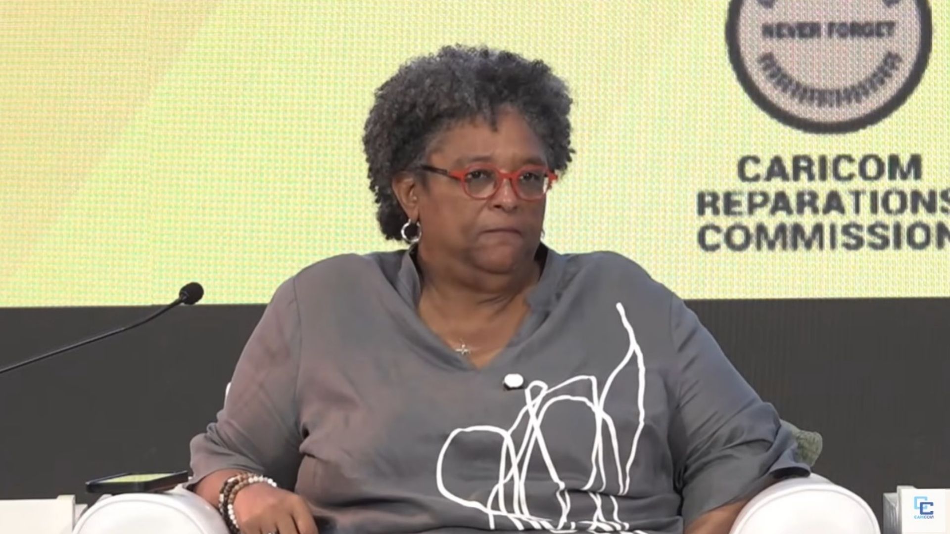 ‘We have no desire to bankrupt anybody, but we have a desire for justice’: Reparations movement pushes towards action