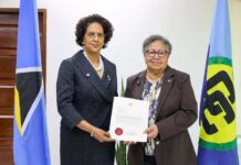 Caroo officially accredited as Saint Lucia’s CARICOM ambassador