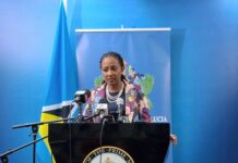 Talk less, act quicker on trade, Agriculture Minister tells regional counterparts