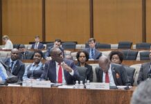 Pierre says US-Caribbean partnerships must deliver results