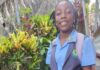 Student injured in Cas En Bas accident still awaiting surgery