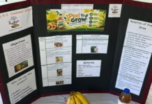 Roseau Combined wins agri-innovation competition